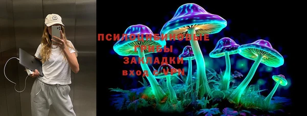 МДПВ Бердск