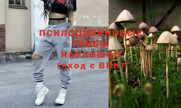 МДПВ Бердск