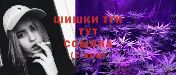 МДПВ Бердск